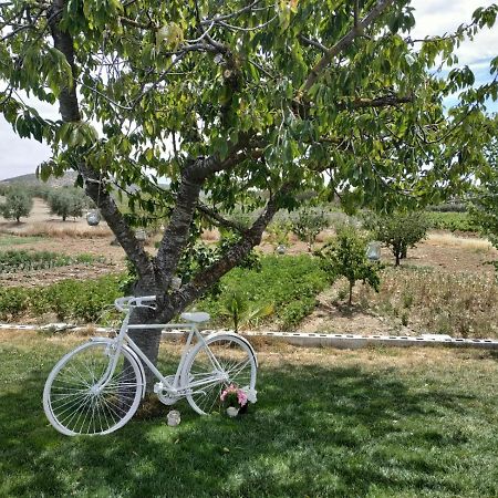 Casa Rural Huerta Los Canos Bienvenida Εξωτερικό φωτογραφία
